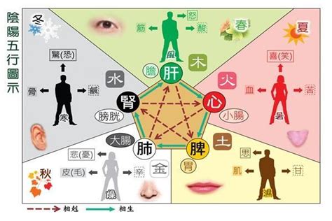 五行屬火行業|五行屬火的行業有哪些？